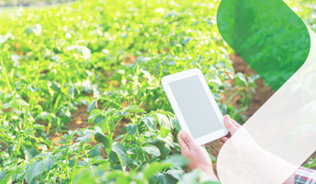 IoT solutions development for agriculture